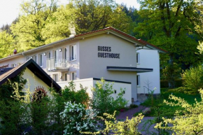 Busses Guesthouse Freiburg Im Breisgau